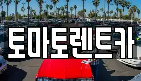 경기도 여주시 창동 렌트카 전문 토마토렌트카