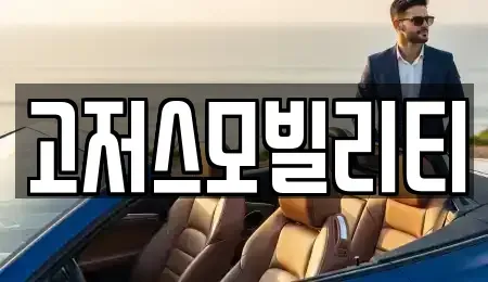 경기도 오산시 세교동 렌트카 전문 고저스모빌리티