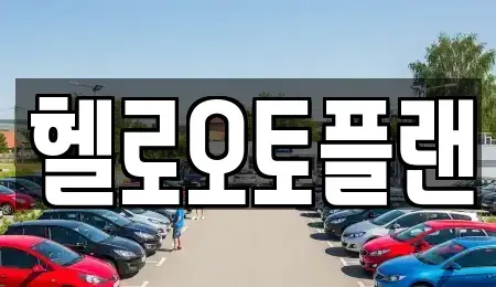 경기도 오산시 세교동 장기렌트카 전문 헬로오토플랜