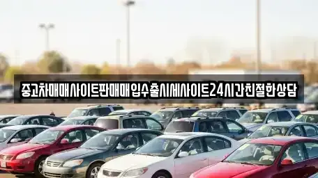경기도 오산시 세교동 중고차매입 전문 중고차매매사이트판매매입수출시세사이트24시간친절한상담