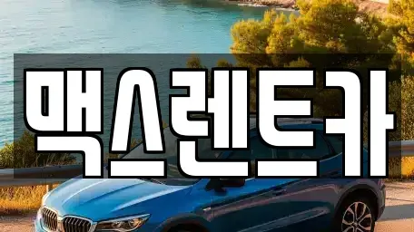 경기도 용인시 수지구 성복동 렌트카 전문 맥스렌트카