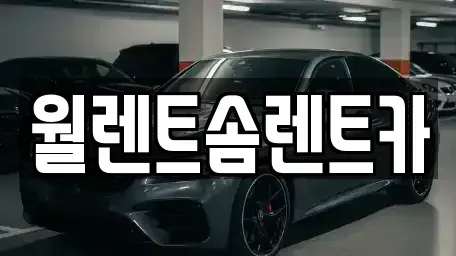 경기도 용인시 수지구 성복동 렌트카 전문 월렌트솜렌트카