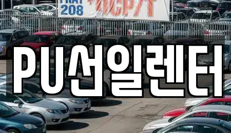 경기도 용인시 수지구 성복동 장기렌트카 전문 PU선일렌터
