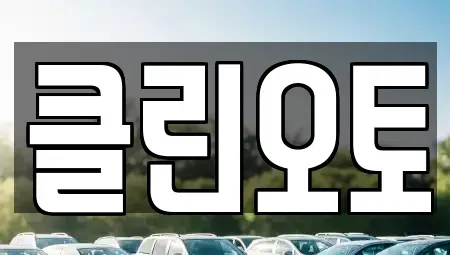 경기도 용인시 수지구 성복동 중고차 전문 클린오토