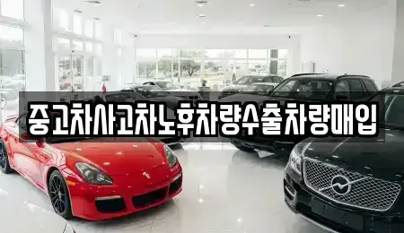 경기도 용인시 수지구 성복동 중고차매입 전문 중고차사고차노후차량수출차량매입