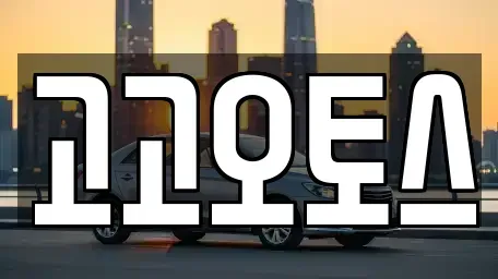 경기도 의왕시 이동 렌트카 전문 고고오토스