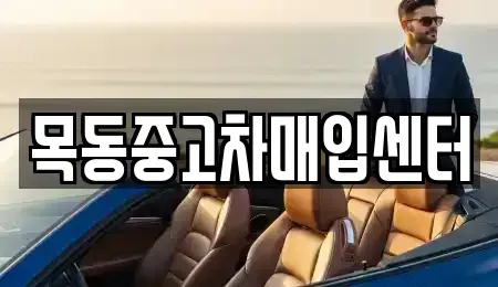 경기도 의왕시 이동 중고차매입 전문 목동중고차매입센터