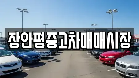 경기도 의정부시 용현동 중고차매매 전문 장안평중고차매매시장