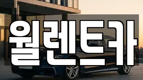 경기도 이천시 부발읍 렌트카 전문 월렌트카