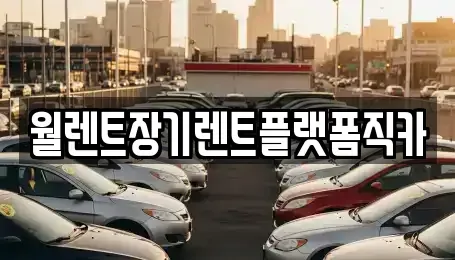 경기도 이천시 부발읍 장기렌트카 전문 월렌트장기렌트플랫폼직카