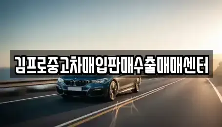 경기도 이천시 부발읍 중고차매입 전문 김프로중고차매입판매수출매매센터