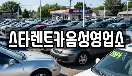 경기도 이천시 장호원읍 렌트카 전문 스타렌트카음성영업소