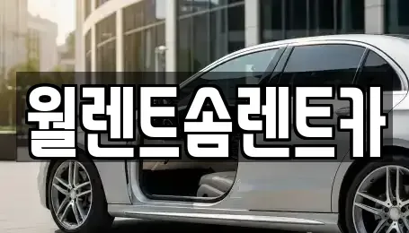 경기도 이천시 장호원읍 렌트카 전문 월렌트솜렌트카