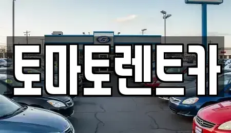 경기도 이천시 장호원읍 렌트카 전문 토마토렌트카