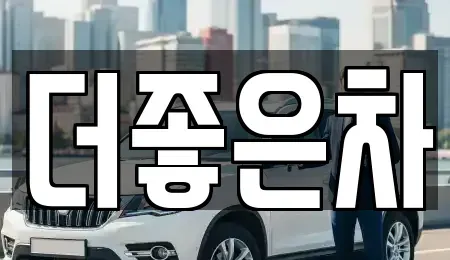 경기도 이천시 장호원읍 중고차 전문 더좋은차