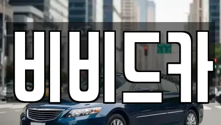 경기도 이천시 장호원읍 중고차 전문 비비드카