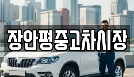 경기도 이천시 장호원읍 중고차 전문 장안평중고차시장