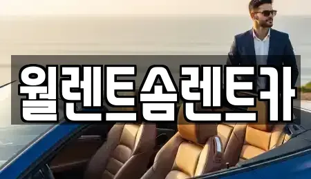 경기도 이천시 호법면 렌트카 전문 월렌트솜렌트카