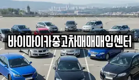 경기도 파주시 다율동 중고차 전문 바이마이카중고차매매매입센터