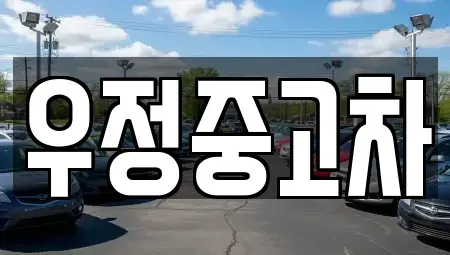 경기도 파주시 다율동 중고차 전문 우정중고차