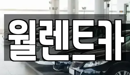 경기도 평택시 칠괴동 렌트카 전문 월렌트카