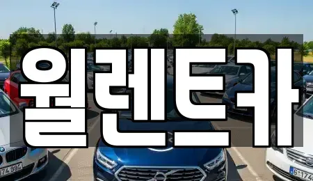 경기도 화성시 산척동 렌트카 전문 월렌트카