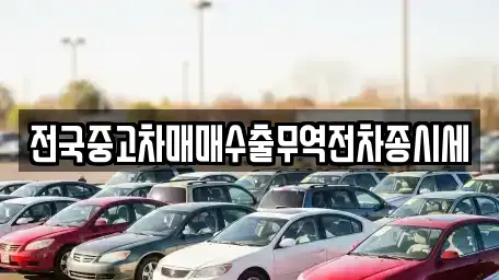 경기도 화성시 산척동 중고차 전문 전국중고차매매수출무역전차종시세