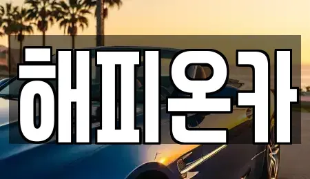 경기도 화성시 장지동 중고차 전문 해피온카