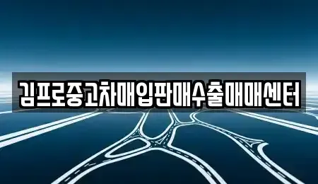 경기도 화성시 장지동 중고차매매 전문 김프로중고차매입판매수출매매센터