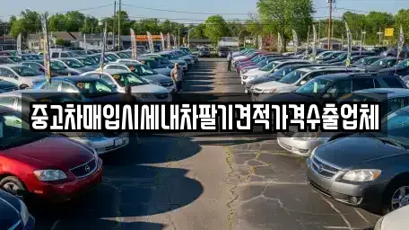 경기도 화성시 장지동 중고차매입 전문 중고차매입시세내차팔기견적가격수출업체