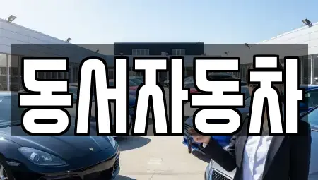 경남 고성군 동해면 중고차매매 전문 동서자동차