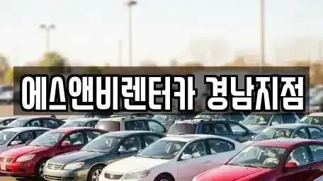 경남 김해시 관동동 단기렌트카 전문 에스앤비렌터카 경남지점