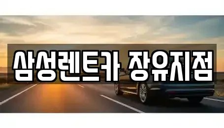 경남 김해시 관동동 렌트카 전문 삼성렌트카 장유지점