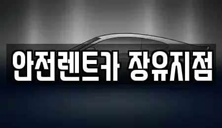 경남 김해시 관동동 렌트카 전문 안전렌트카 장유지점