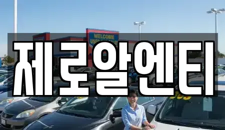 경남 창원시 마산합포구 진동면 렌트카 전문 제로알엔티