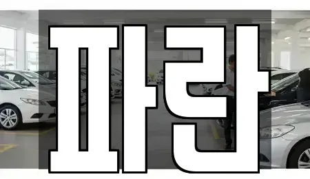 경남 창원시 마산합포구 진동면 중고차 전문 파란