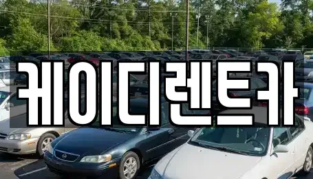 경남 창원시 성산구 토월동 렌트카 전문 케이디렌트카