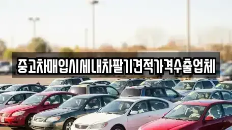 경남 창원시 성산구 토월동 중고차매입 전문 중고차매입시세내차팔기견적가격수출업체