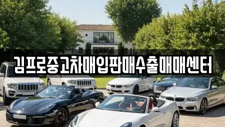 경남 창원시 의창구 소답동 중고차매매 전문 김프로중고차매입판매수출매매센터