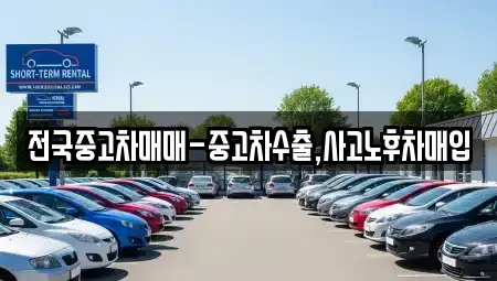 경남 창원시 진해구 명동 중고차매매 전문 전국중고차매매-중고차수출,사고노후차매입