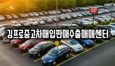 경남 창원시 진해구 여좌동 중고차매입 전문 김프로중고차매입판매수출매매센터