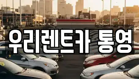 경남 통영시 산양읍 렌트카,단기렌트카,장기렌트카,중고차,중고차매매,중고차매입