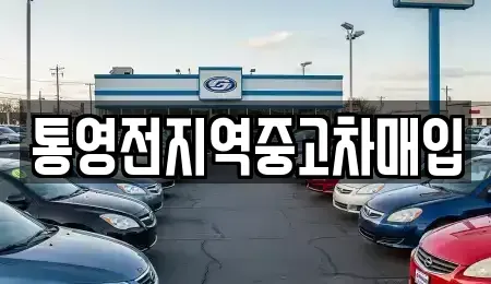 경남 통영시 항남동 중고차매입 전문 통영전지역중고차매입