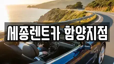 경남 함양군 렌트카,단기렌트카,장기렌트카,중고차,중고차매매,중고차매입
