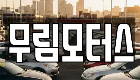 경북 경산시 옥곡동 중고차 전문 무림모터스
