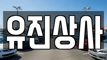 경북 경산시 옥곡동 중고차 전문 유진상사