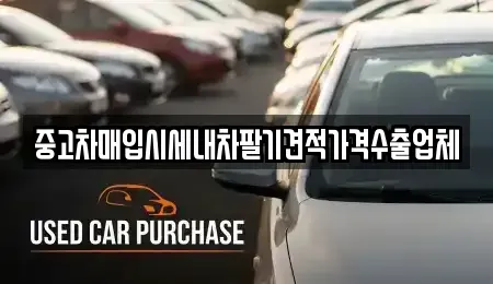 경북 경산시 옥곡동 중고차 전문 중고차매입시세내차팔기견적가격수출업체