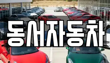경북 경주시 남산동 중고차 전문 동서자동차