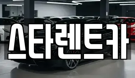 경북 구미시 거의동 렌트카 전문 스타렌트카