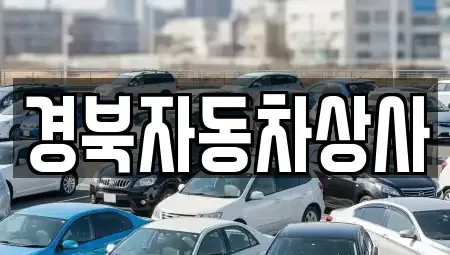 경북 구미시 거의동 중고차 전문 경북자동차상사